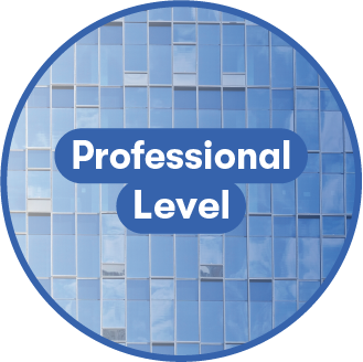 Professional Level – Learning Media