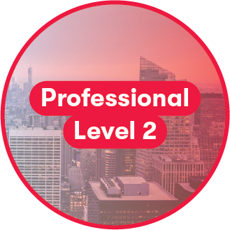 Professional Level 2 – Learning Media