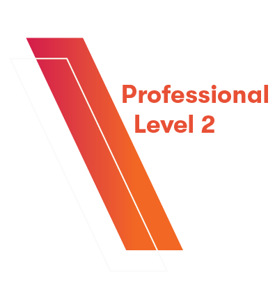 Professional Level 2 – Learning Media